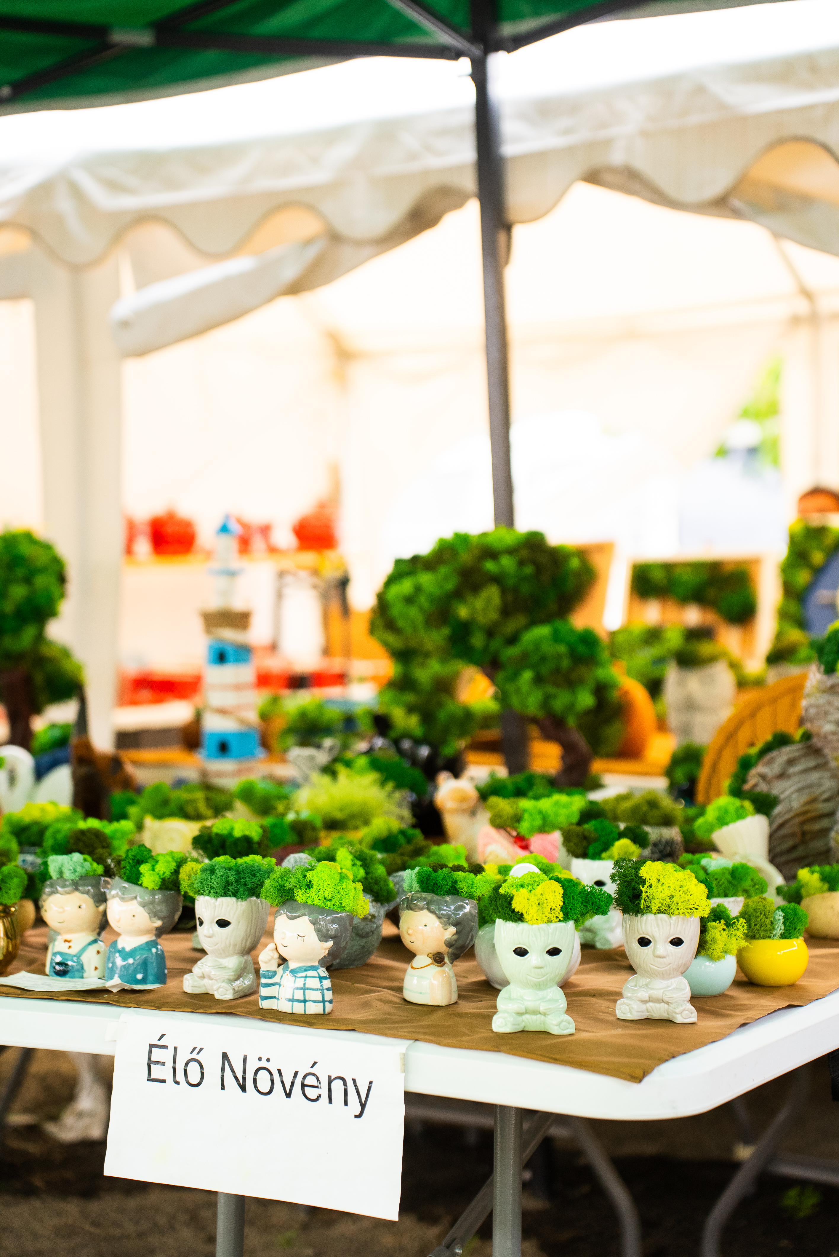 Látogatók a piacon