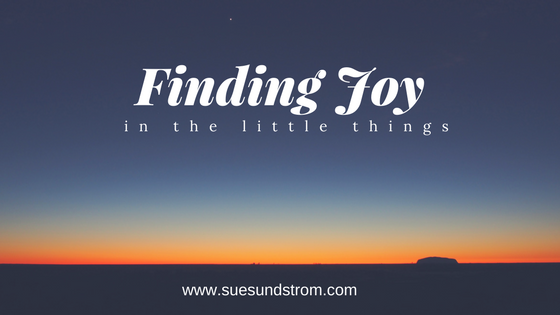 Finding joy in the little things in life