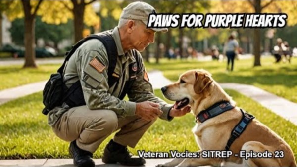 A veteran with his service dog at a park A veteran with his service dog at a park