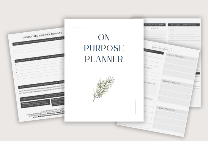 daily planner pages for the on purpose planner