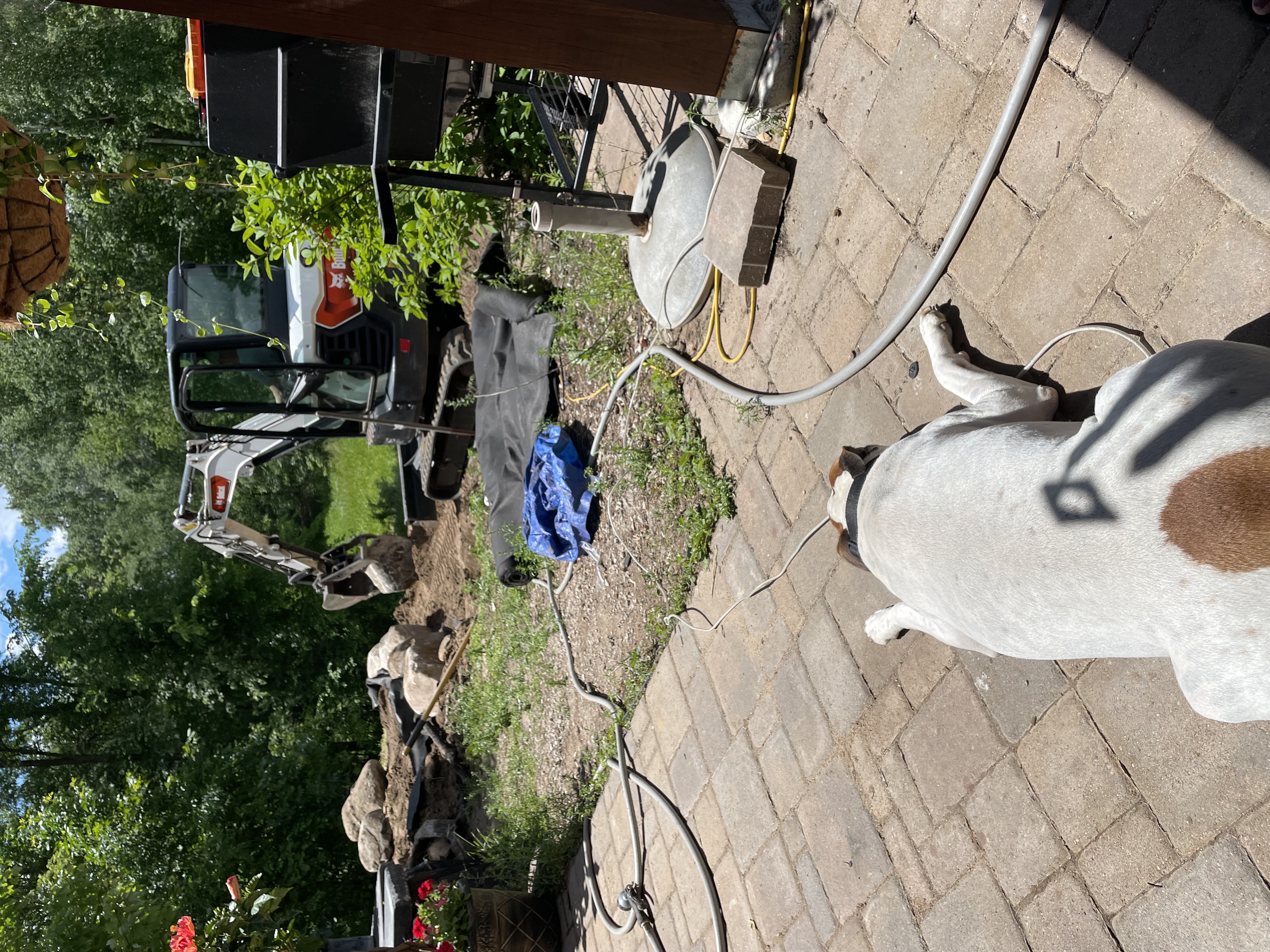 Landscaping services, including meticulous lawn care, beautiful garden installations, and durable hardscaping projects Landscaping services, including meticulous lawn care, beautiful garden installations, and durable hardscaping projects
