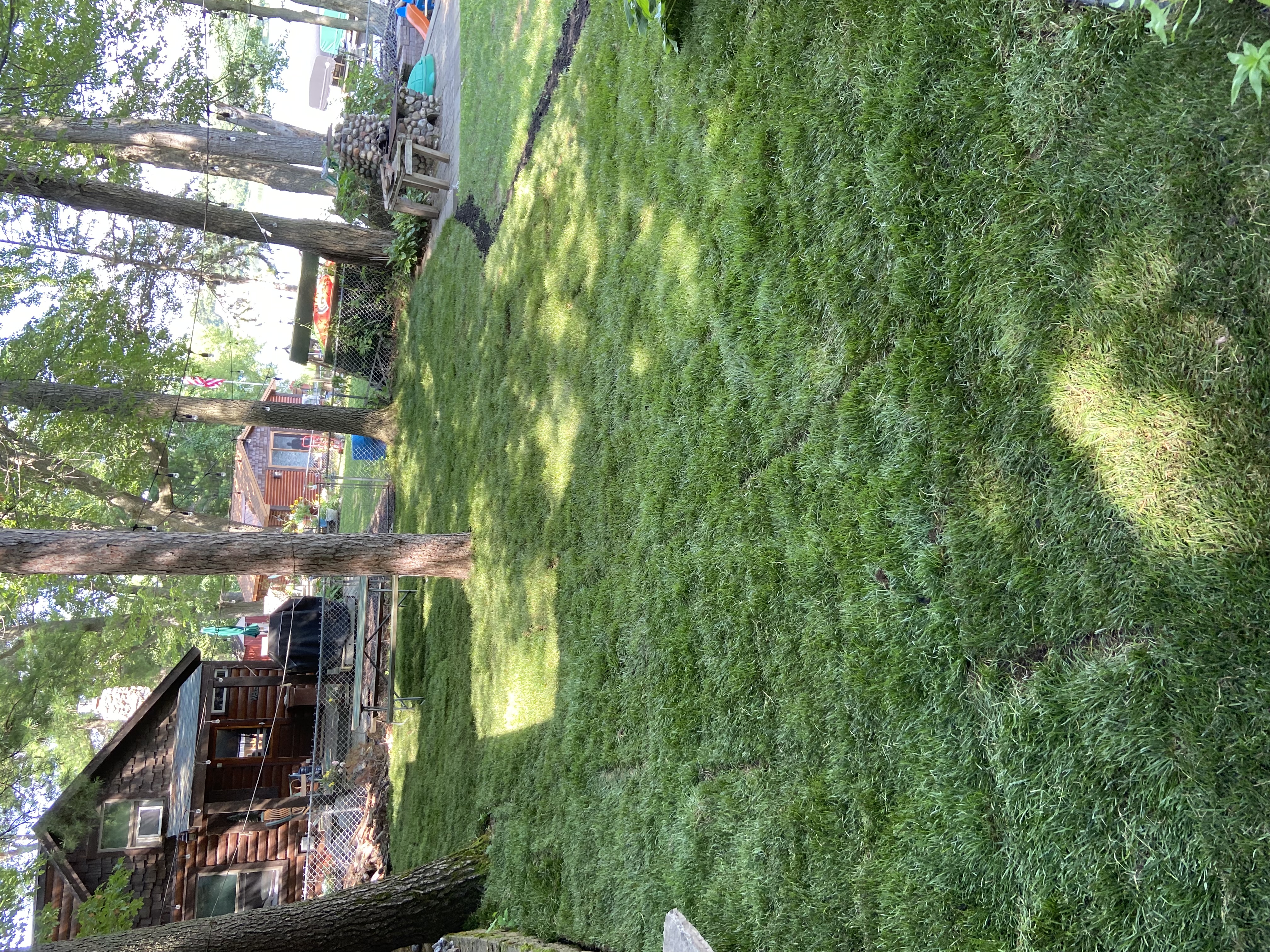 A local landscaper takes a photo of a landscaping project in Central MN A local landscaper takes a photo of a landscaping project in Central MN