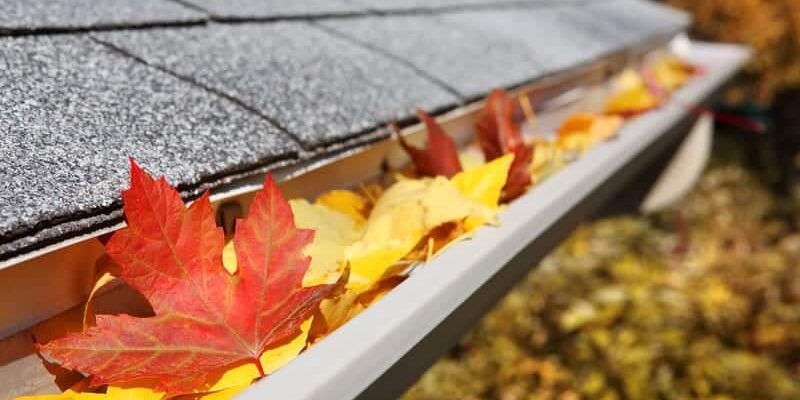 close up image of colorful leaf's in a gutter close up image of colorful leaf's in a gutter