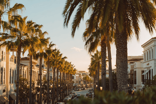 California luxury retail market for independent optical boutiques and optometry practices