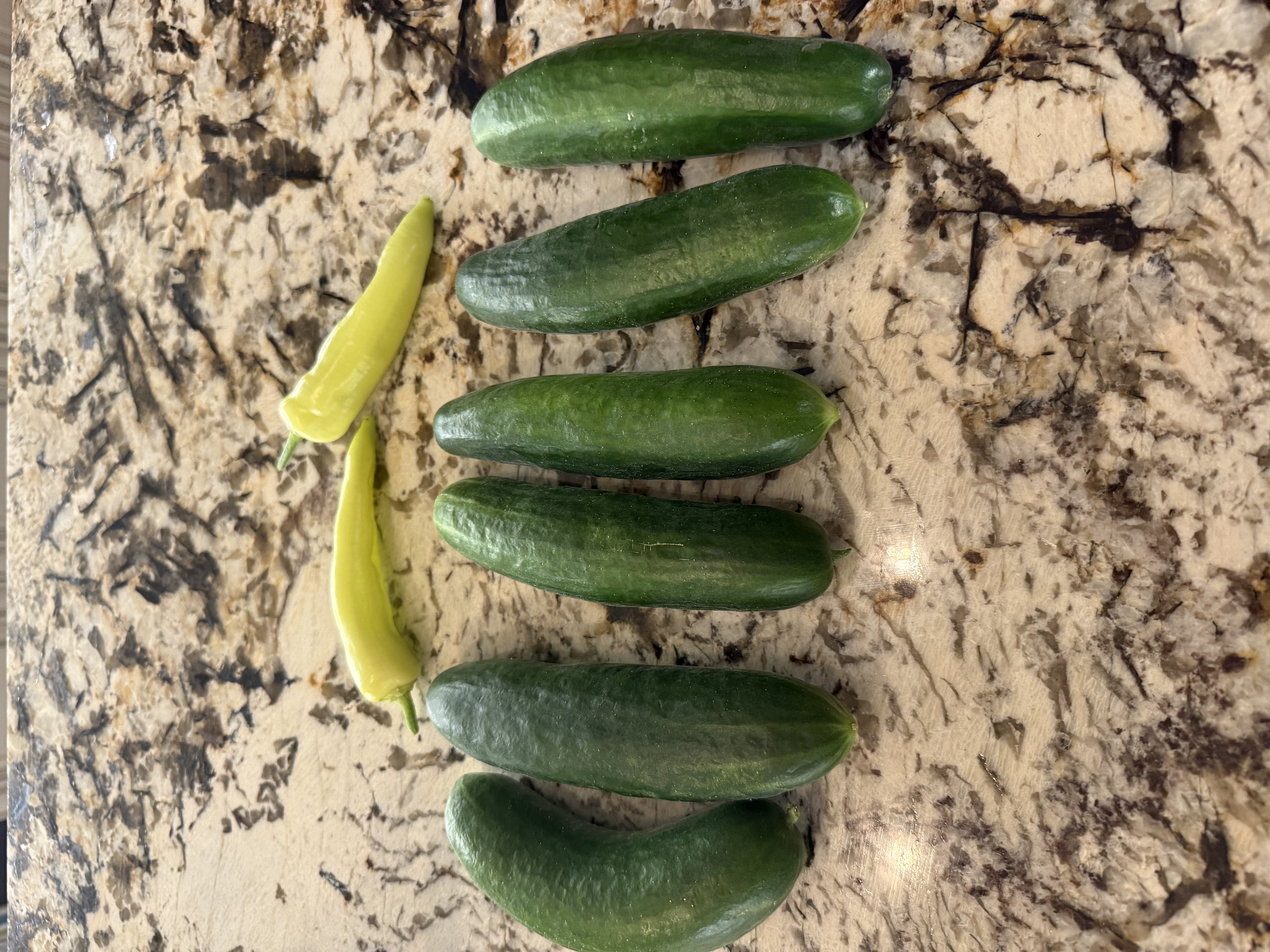 Freshly harvested cucumbers and banana peppers representing the rewards of patience, persistence, and smart business strategy.