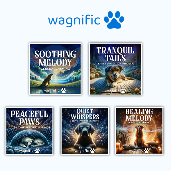 wagnific wagnific