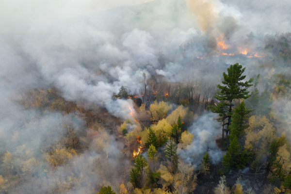 A fire-resistant property in St. Louis County, MN, featuring defensible space, cleared brush, and trimmed trees near Pequaywan Lake and Brimson. A well-maintained landscape reduces wildfire risk in Northern Minnesota’s high-risk areas. A fire-resistant property in St. Louis County, MN, featuring defensible space, cleared brush, and trimmed trees near Pequaywan Lake and Brimson. A well-maintained landscape reduces wildfire risk in Northern Minnesota’s high-risk areas.