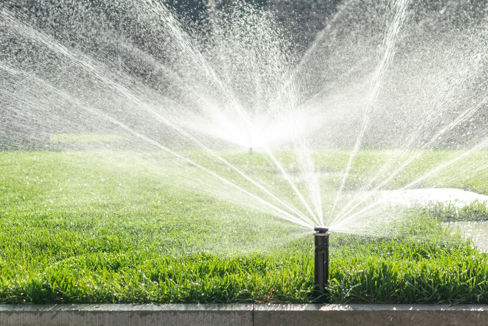 irrigation plumbing