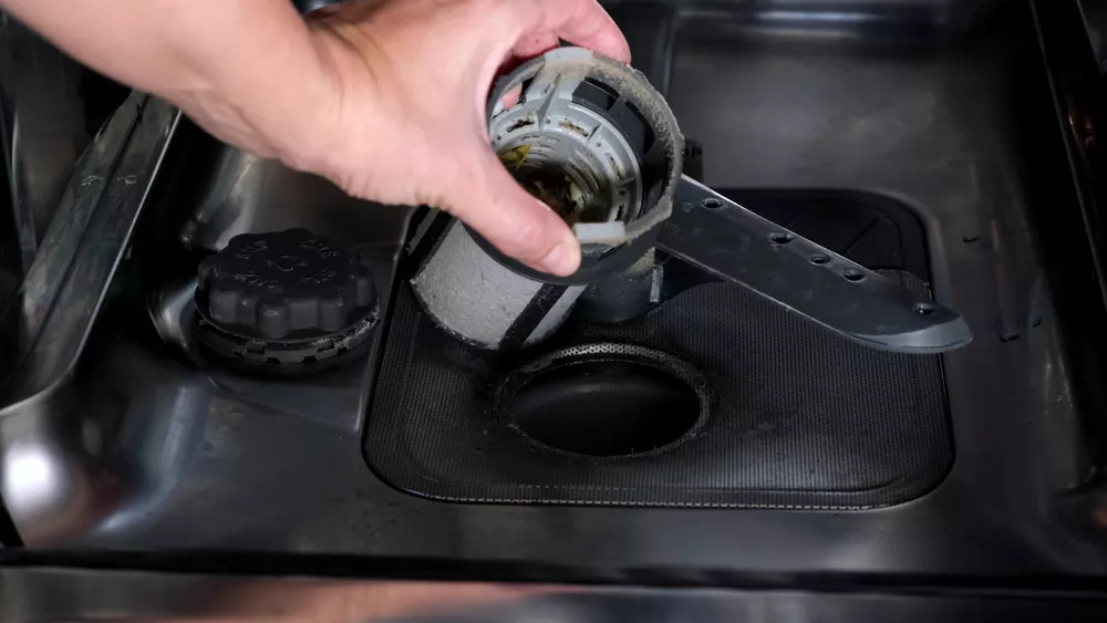 drain cleaning