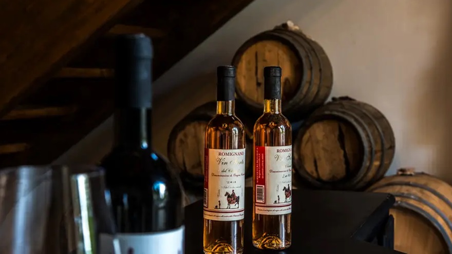 Taste Tuscany Wines