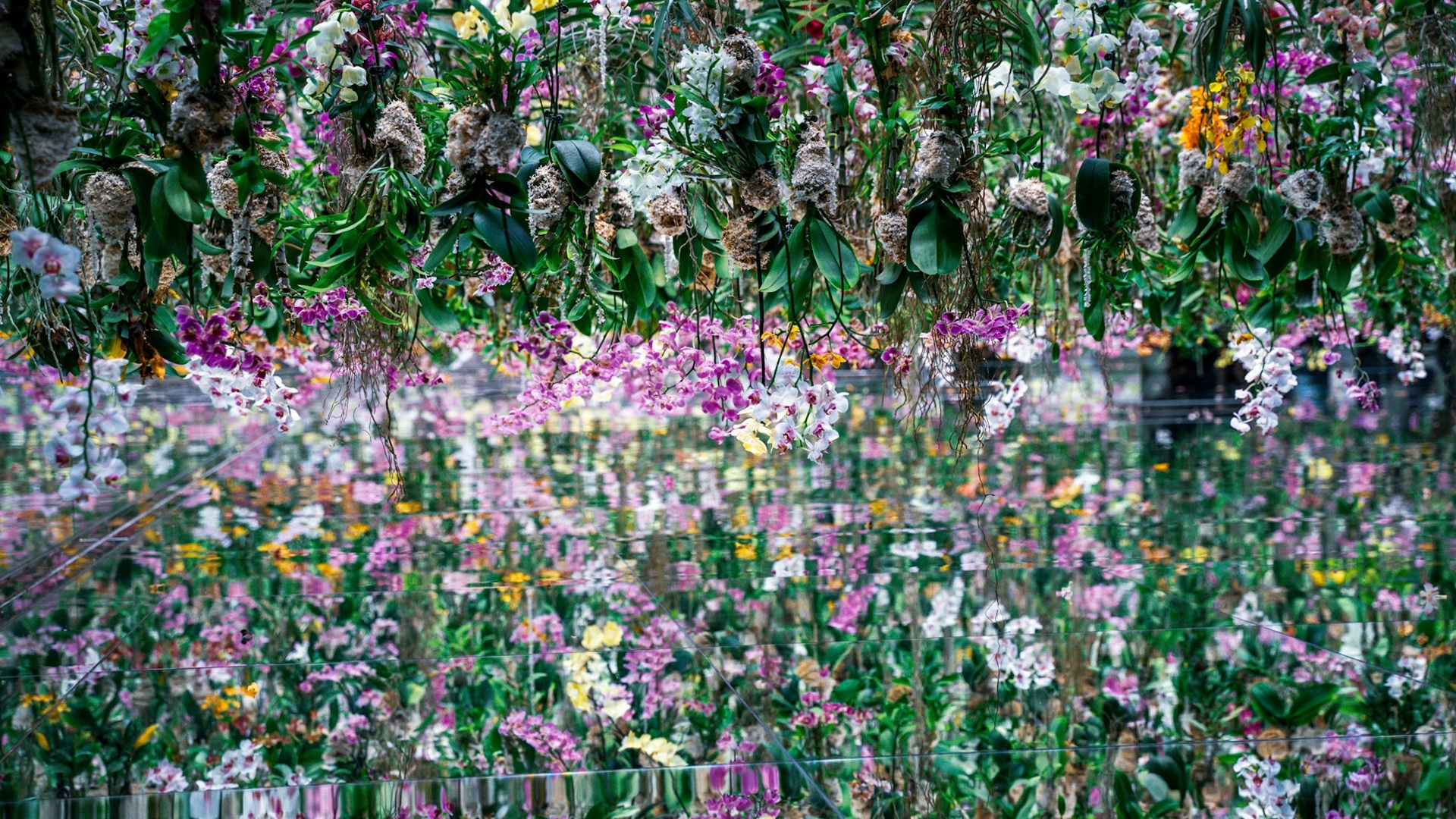 TeamLab Planets (Digital Art Museum) in Tokyo