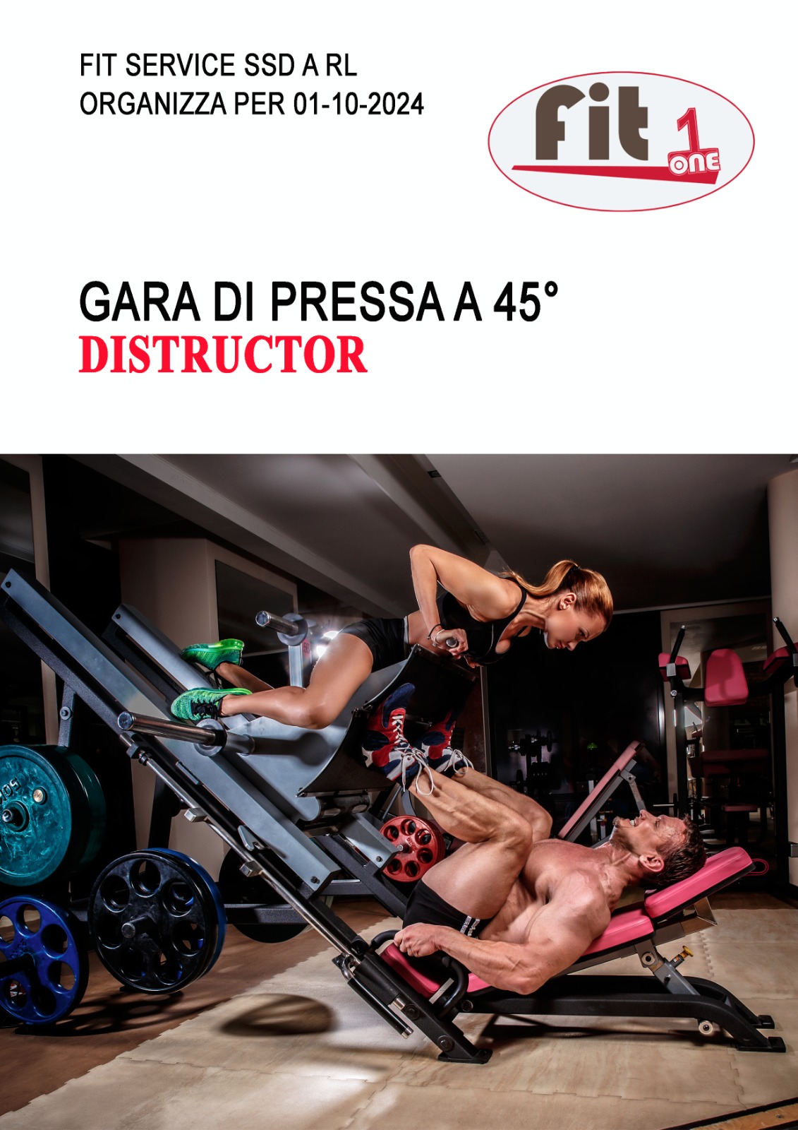 Gara Distructor