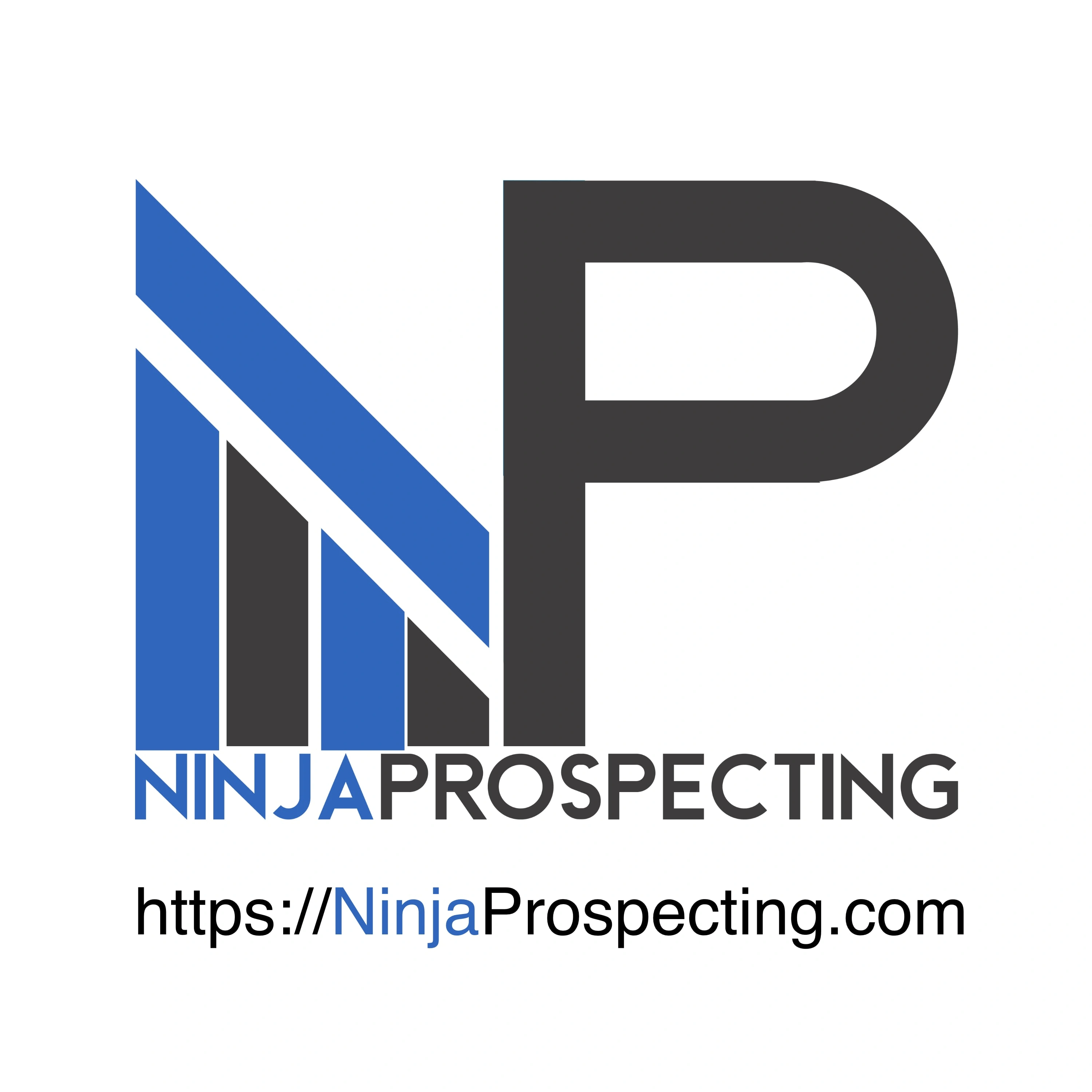 Ninja Prospecting Ninja Prospecting