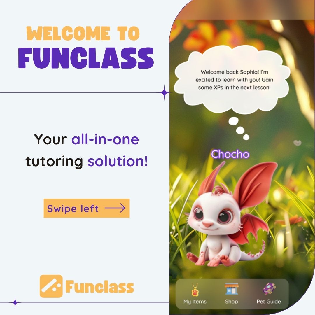 Interactive Session with Funclass