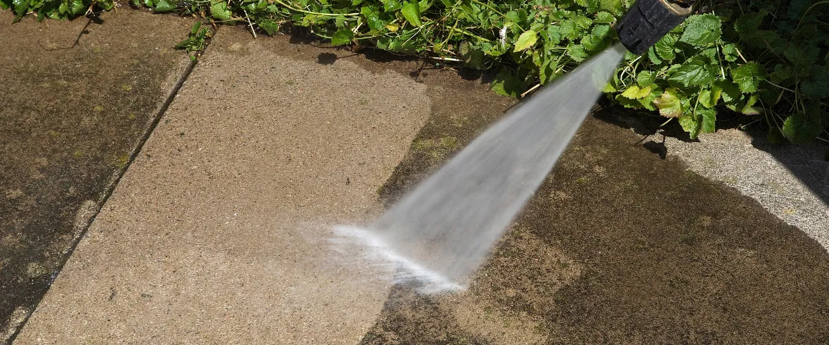 Pressure washing dirty concrete surface near vegetation
