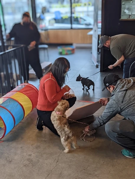 To Puppy Class, Or Not To Puppy Class To Puppy Class, Or Not To Puppy Class