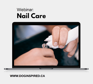 Cutting Your Dog's Nails