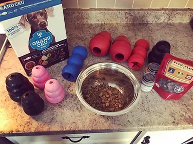 Everyday Dog Enrichment Everyday Dog Enrichment