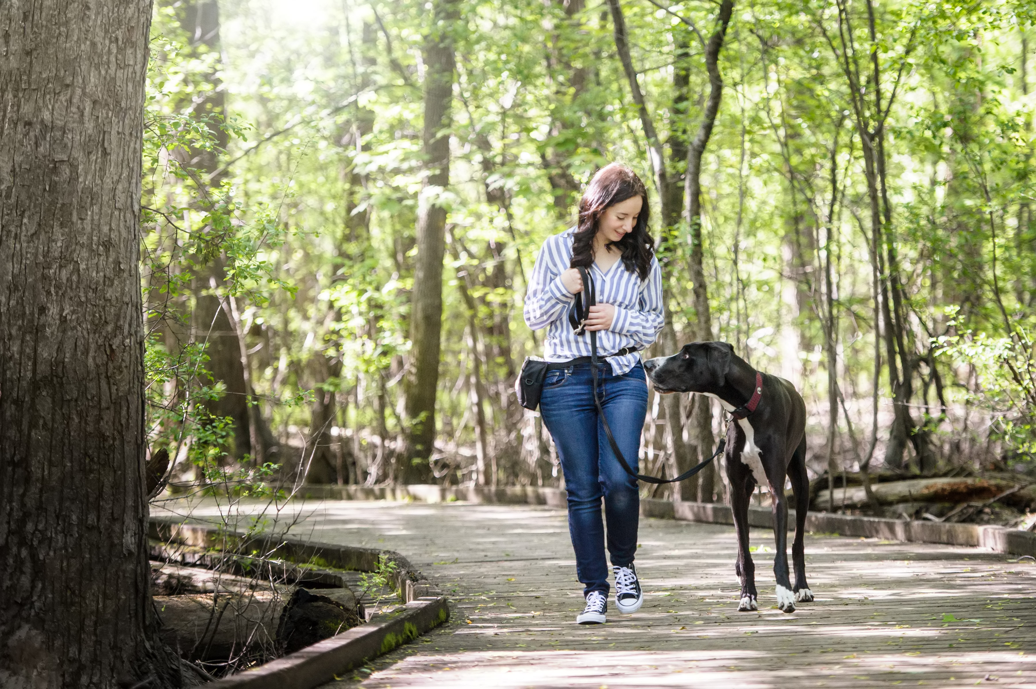 <h3>Intermediate</h3>