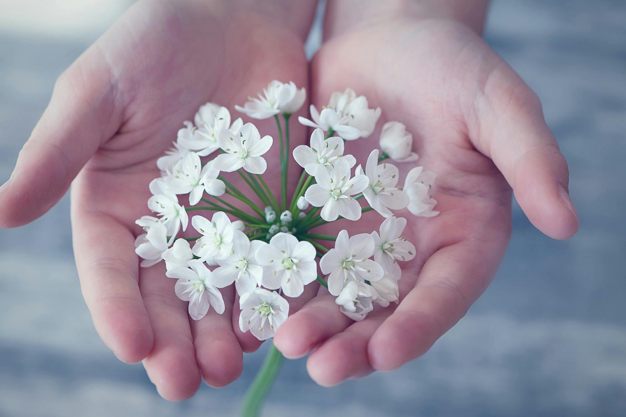 Gratitude in Tough Times
