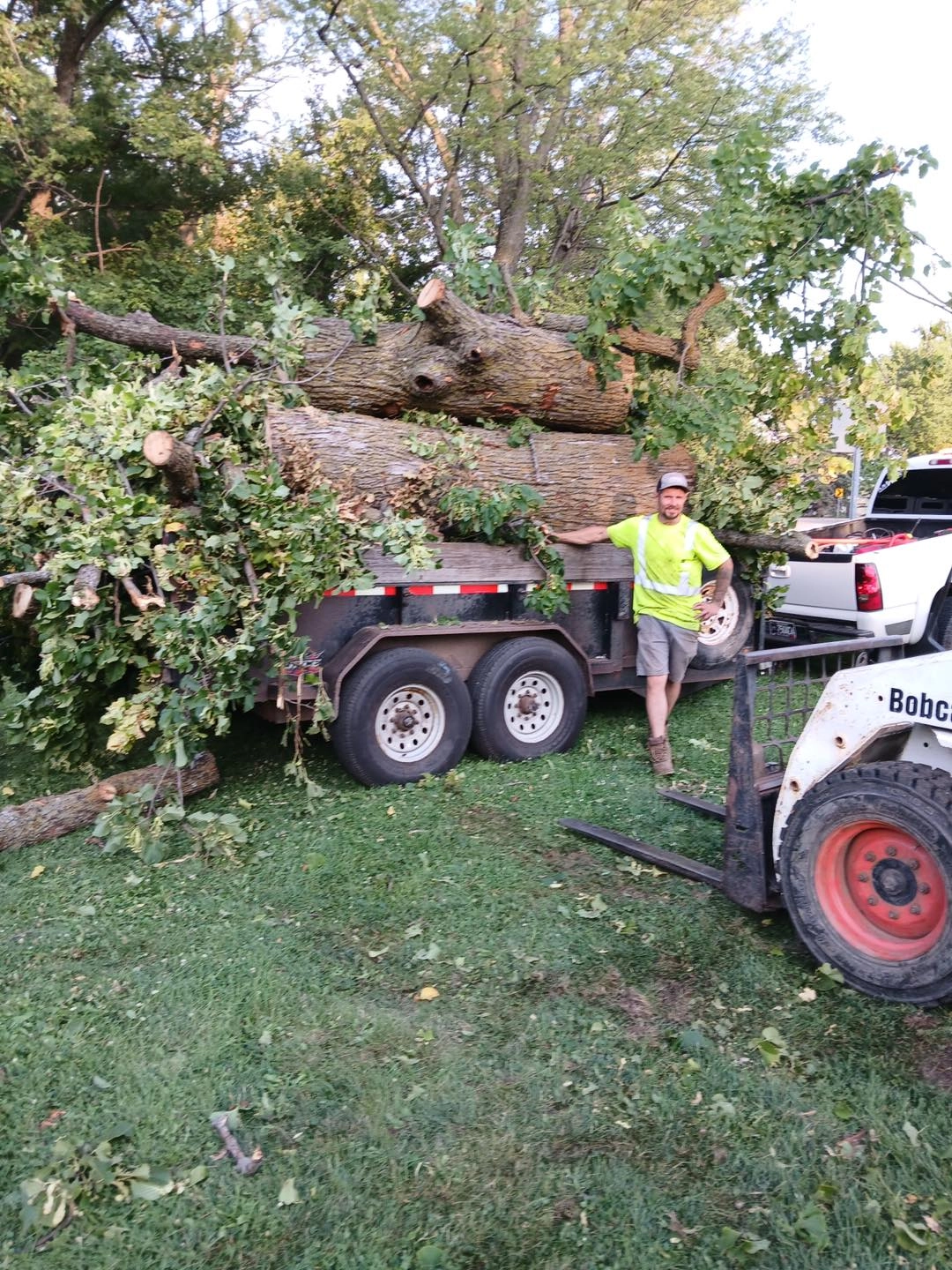 Professional tree service - tree cutting with chainsaw