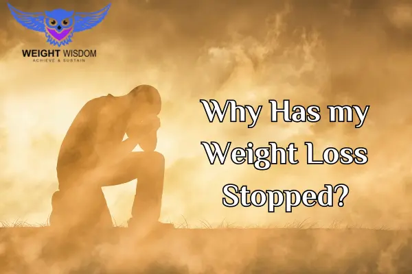 Why Have I Stopped Losing Weight?