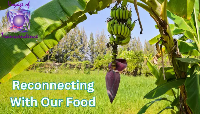 Miracle of Mother Nature's Abundance