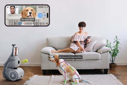 woman sitting on a couch watching her dog play fetch with a robot.