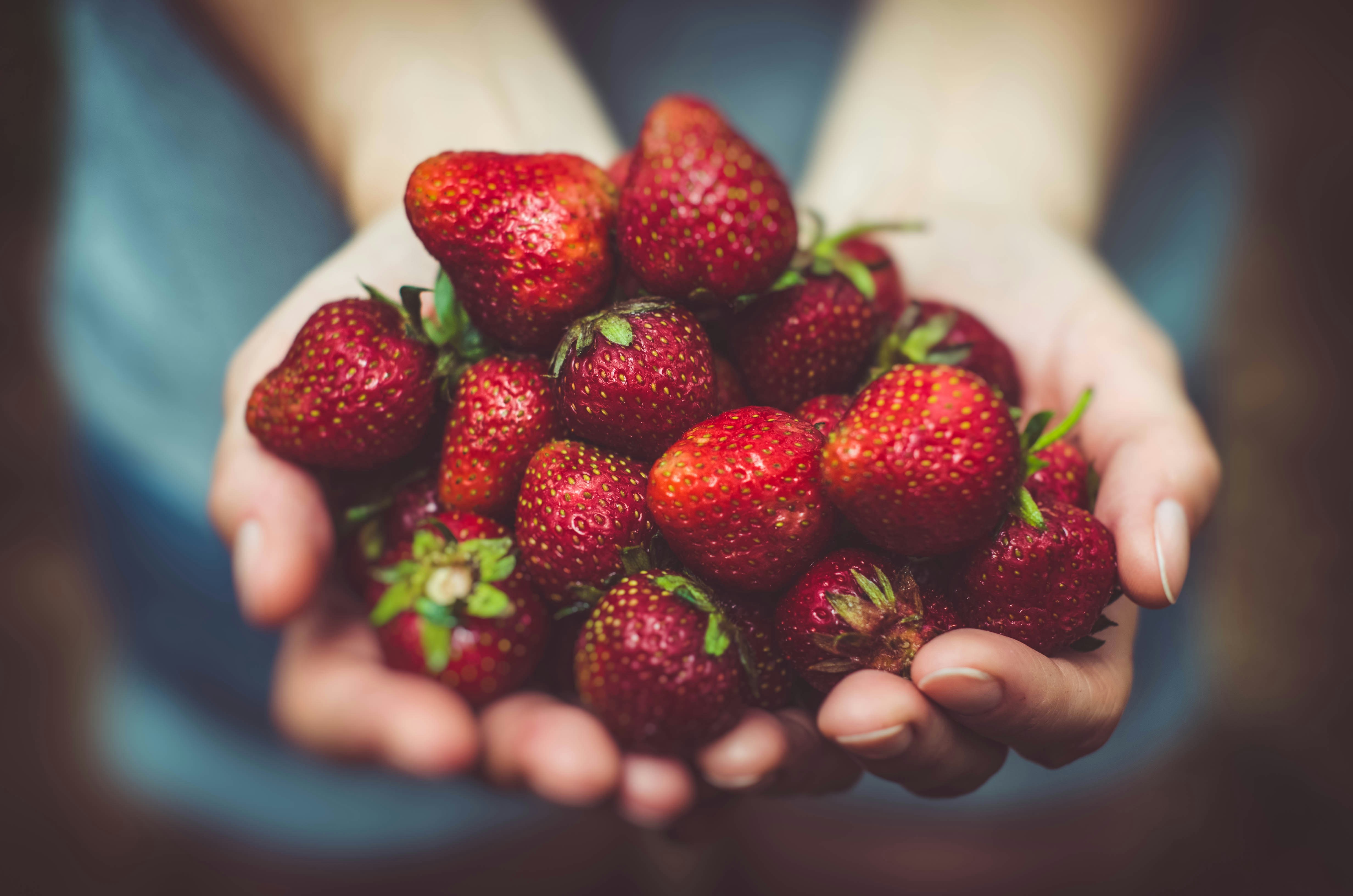 Handful of strawberries Handful of strawberries
