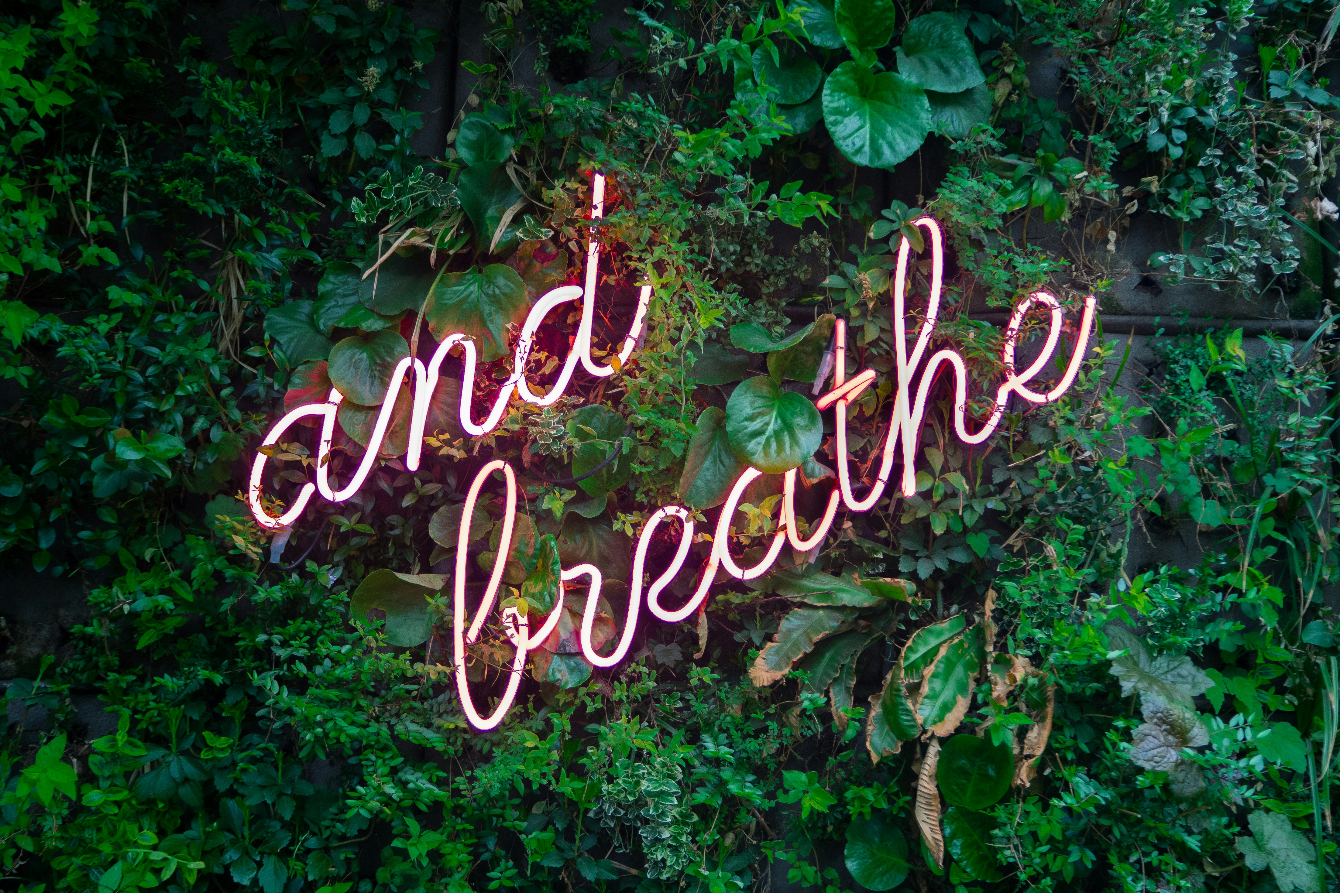 neon sign saying "and breathe" on a foliage background neon sign saying "and breathe" on a foliage background