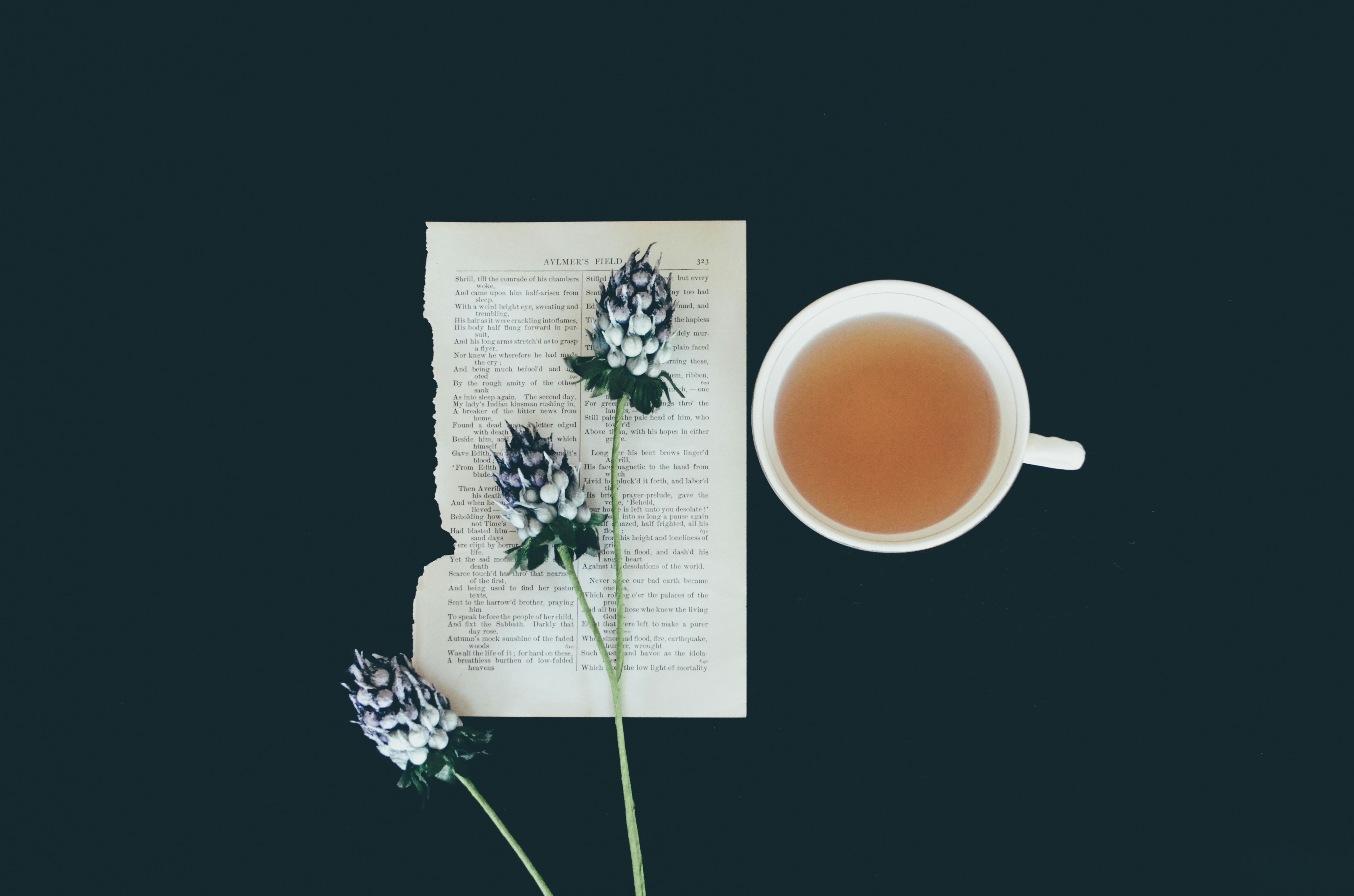 cup of tea next to a book page with flowers cup of tea next to a book page with flowers