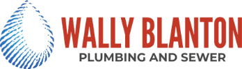 Revolutionizing Digital Advertising: The Wally Blanton Plumbing & Sewer (WBP) Success Story with MomentumPro