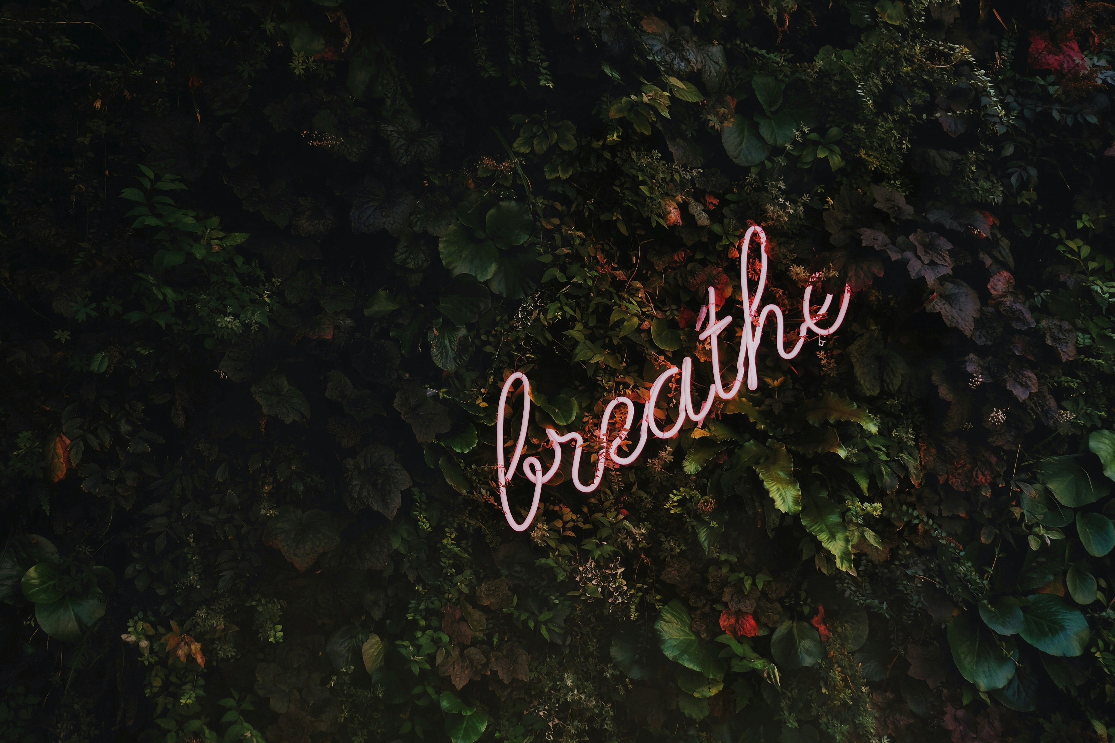 Breath sign
