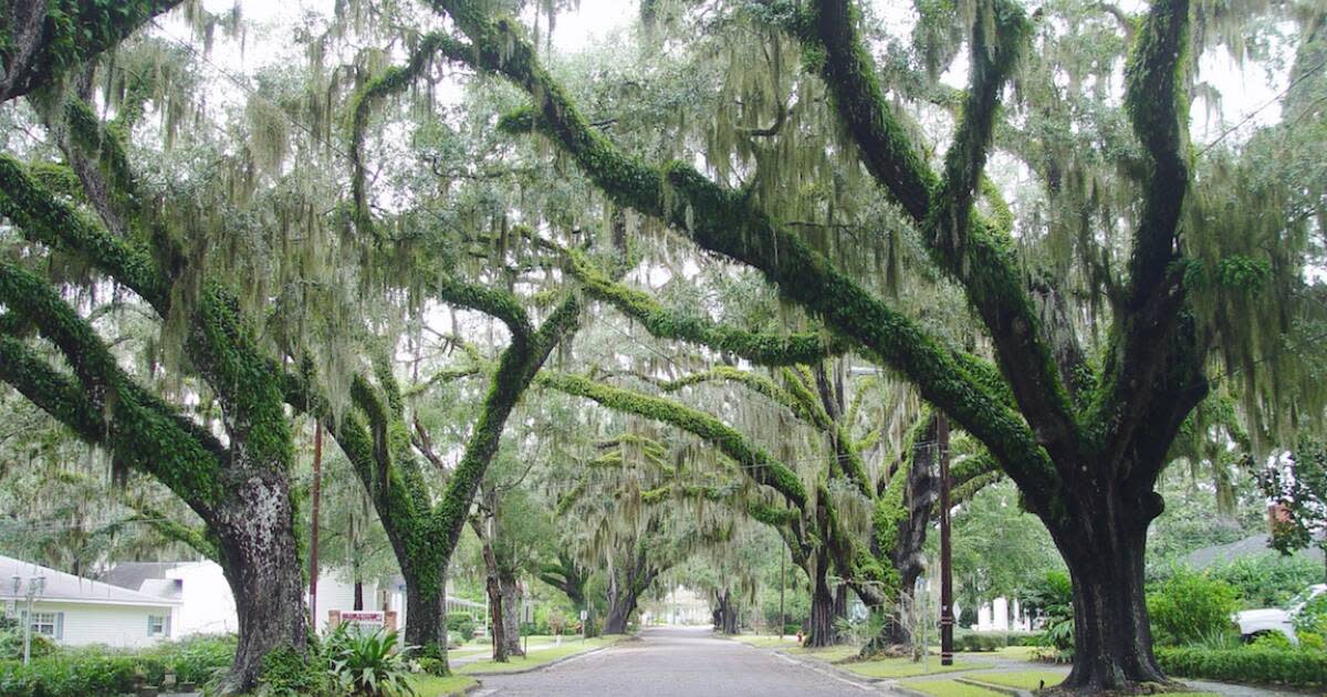 Brooksville