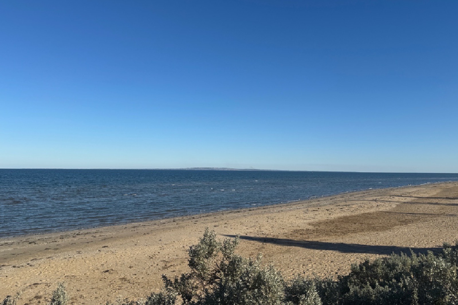 The Power of Accepting What Is