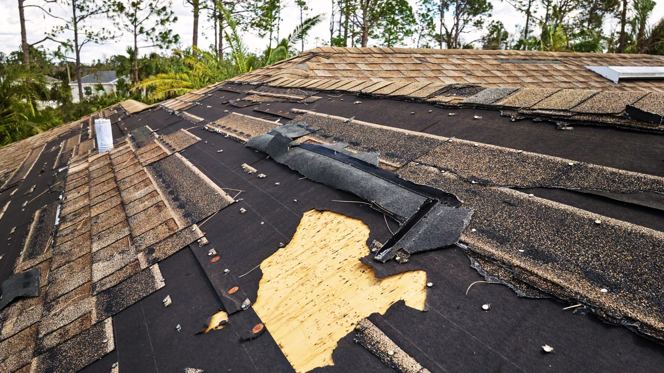 Assess the Roof Damage