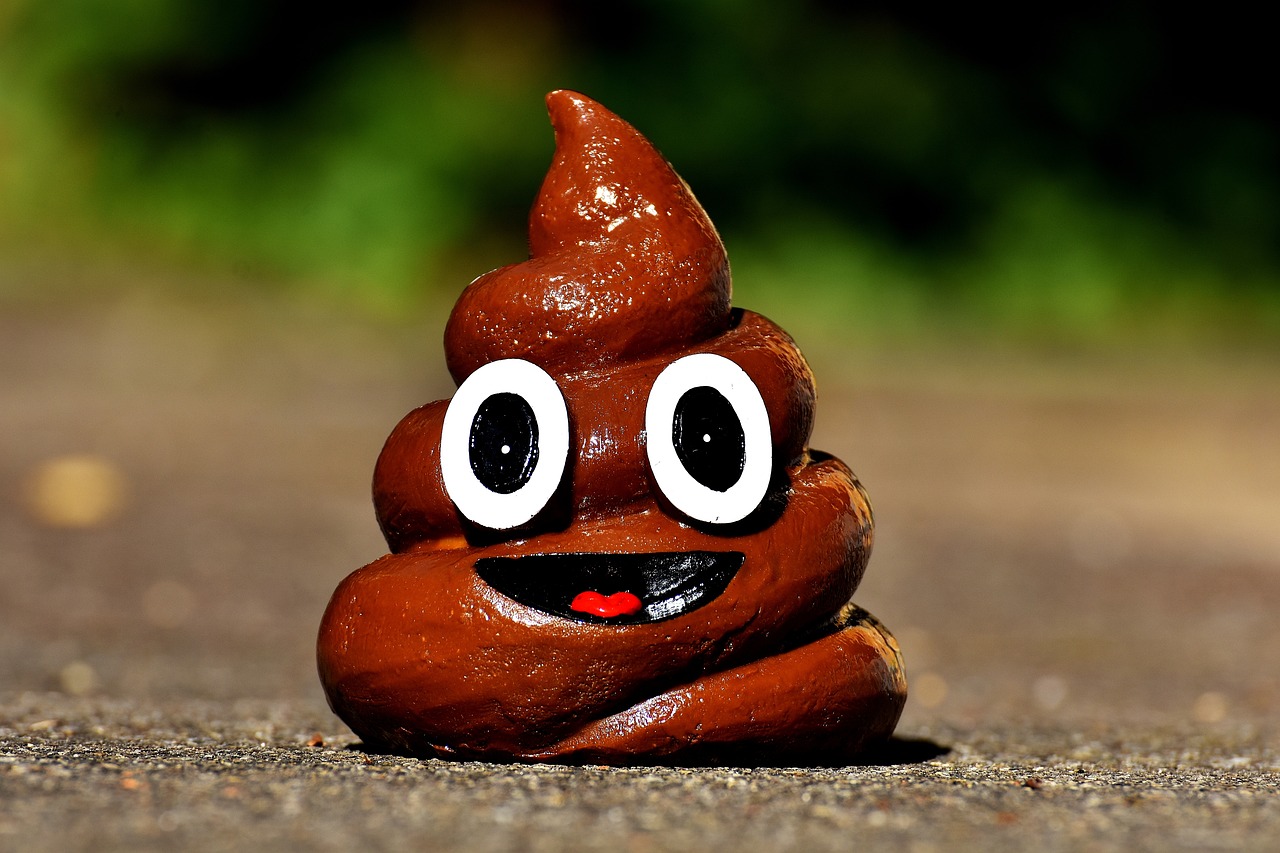 Poop emoji Poop emoji