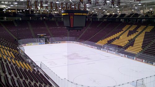 https://en.wikipedia.org/wiki/3M_Arena_at_Mariucci