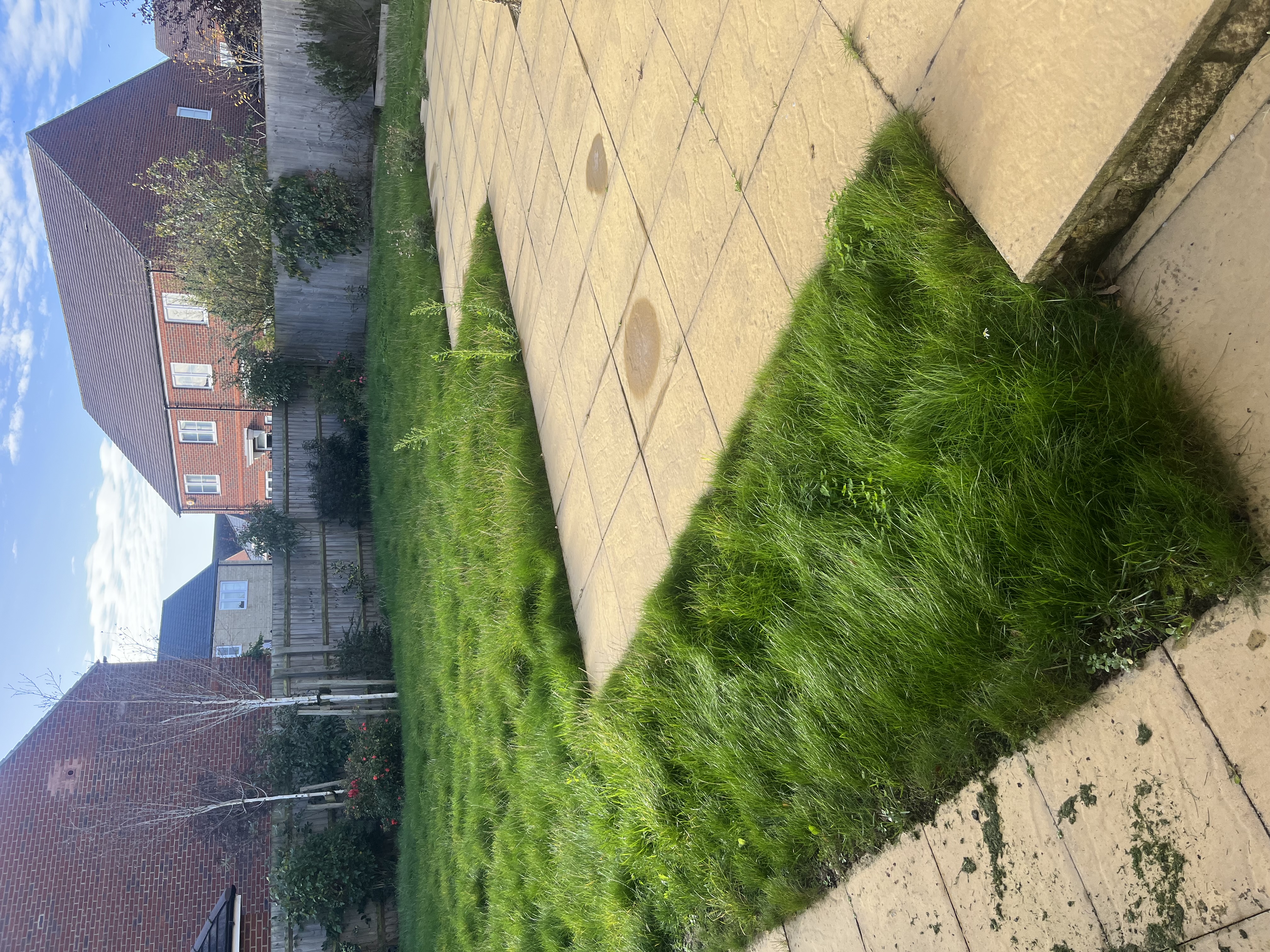 Neglected rear garden area needing pre-tenancy tidy-up in Oxfordshire Neglected rear garden area needing pre-tenancy tidy-up in Oxfordshire