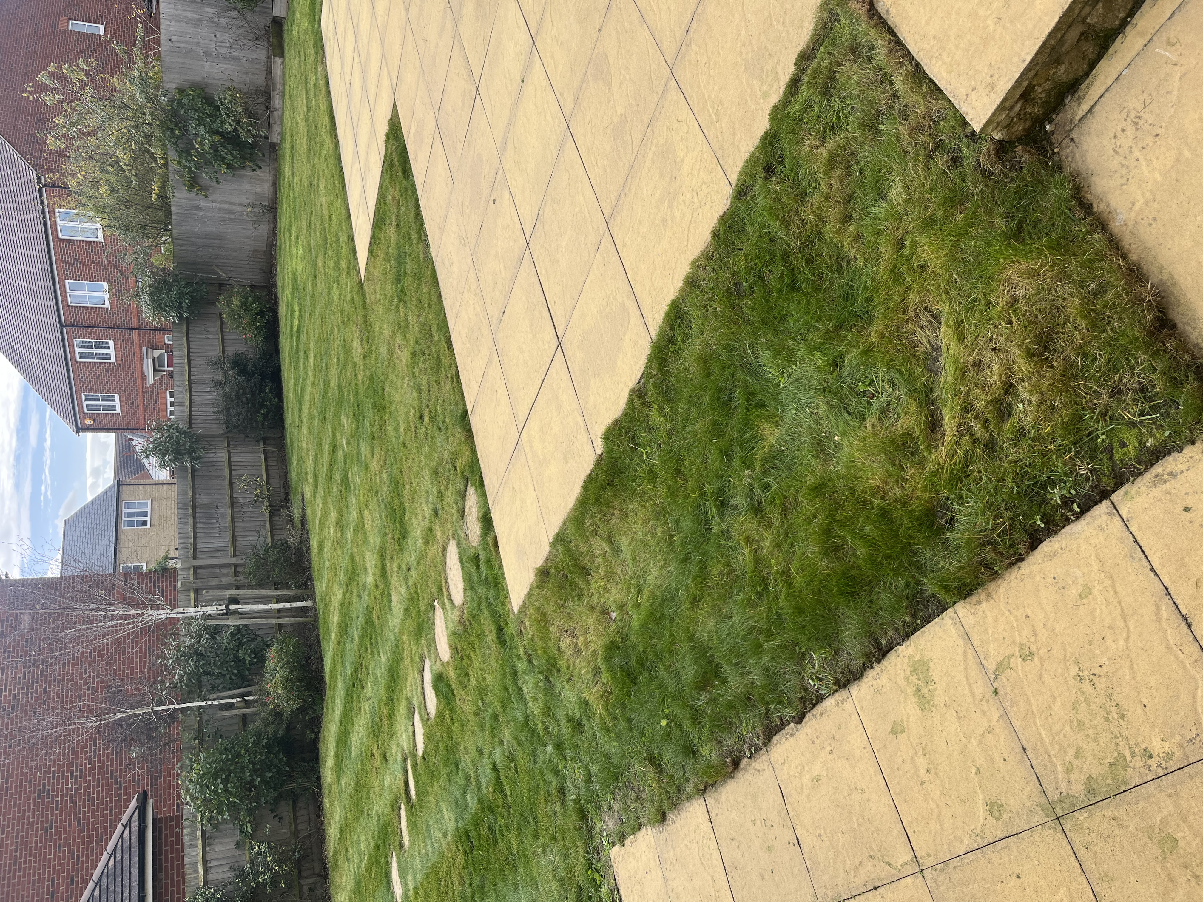 Freshly mowed lawn and tidy garden after clean-up in Witney, Oxfordshire Freshly mowed lawn and tidy garden after clean-up in Witney, Oxfordshire