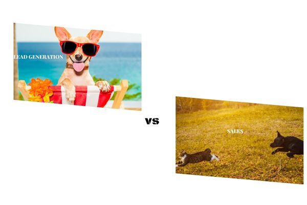 Lead Generation vs Sales
