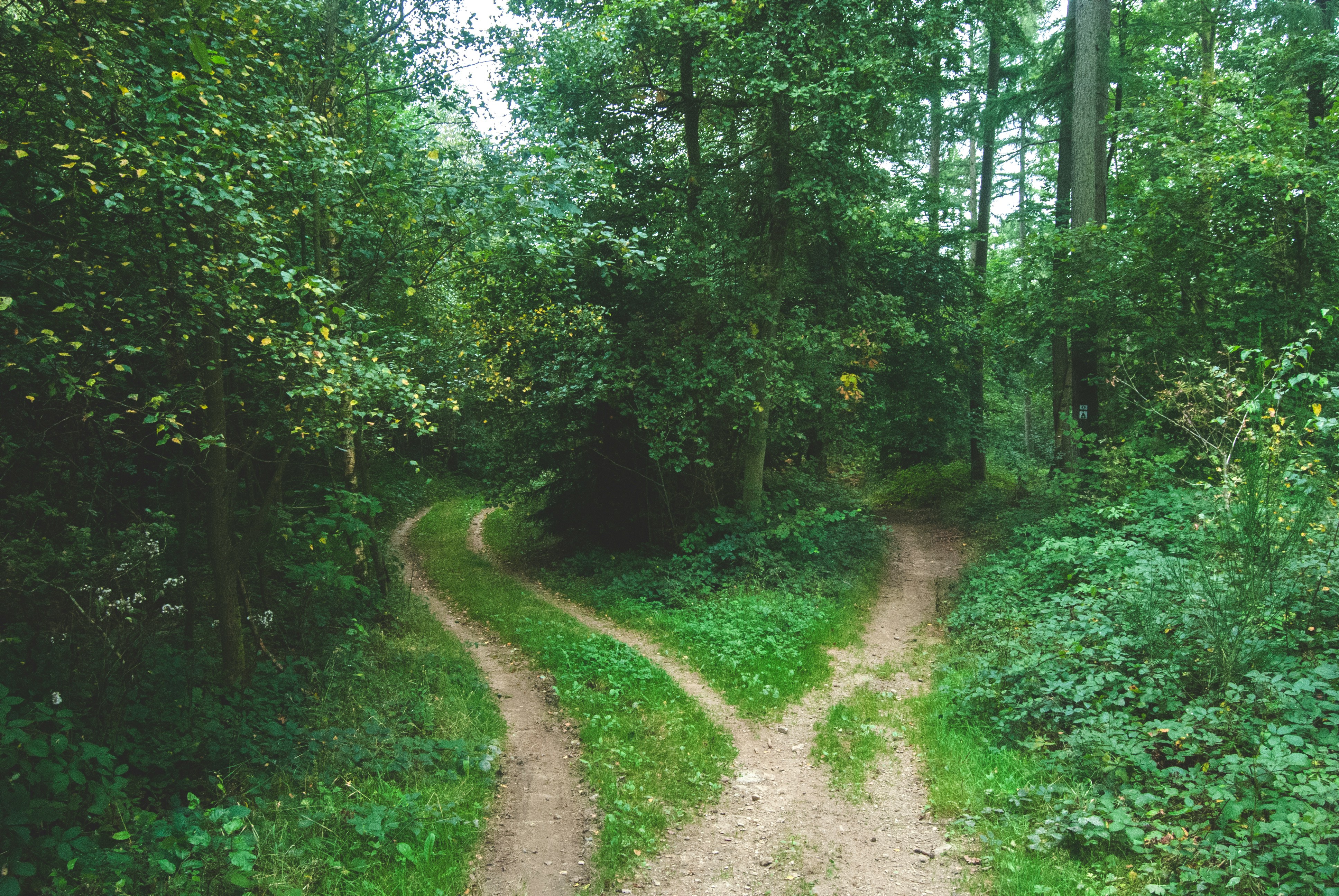 Why is it so hard to make decisions?