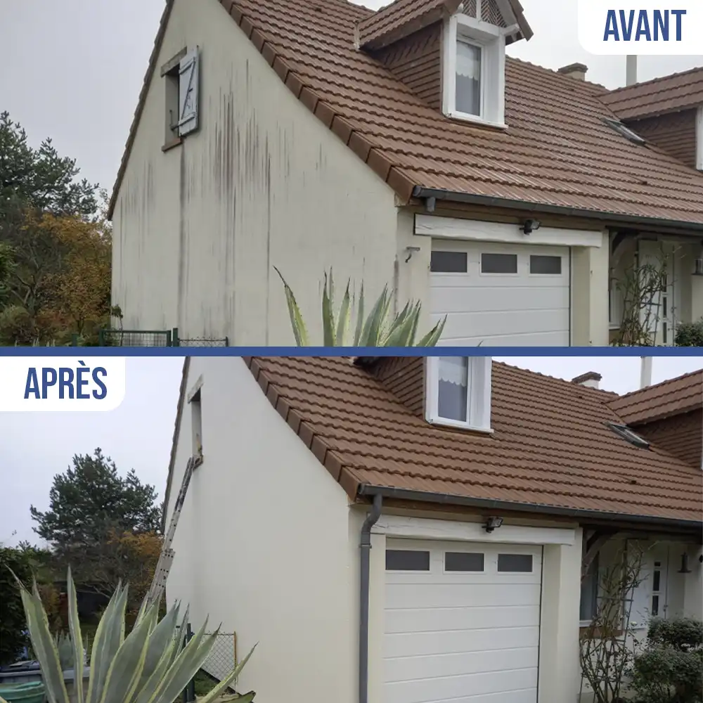 Project Image 12