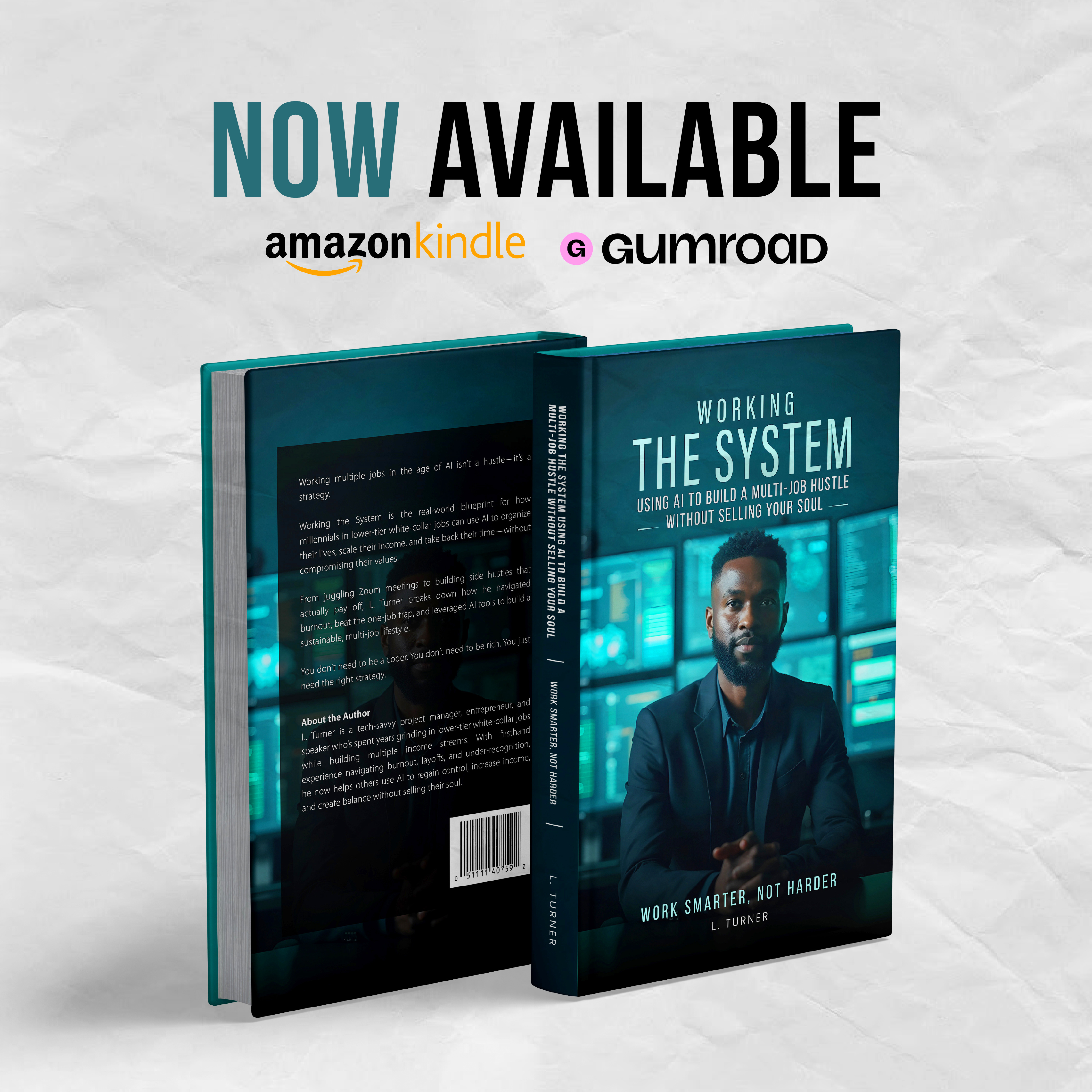 Working the System book cover by L. Turner