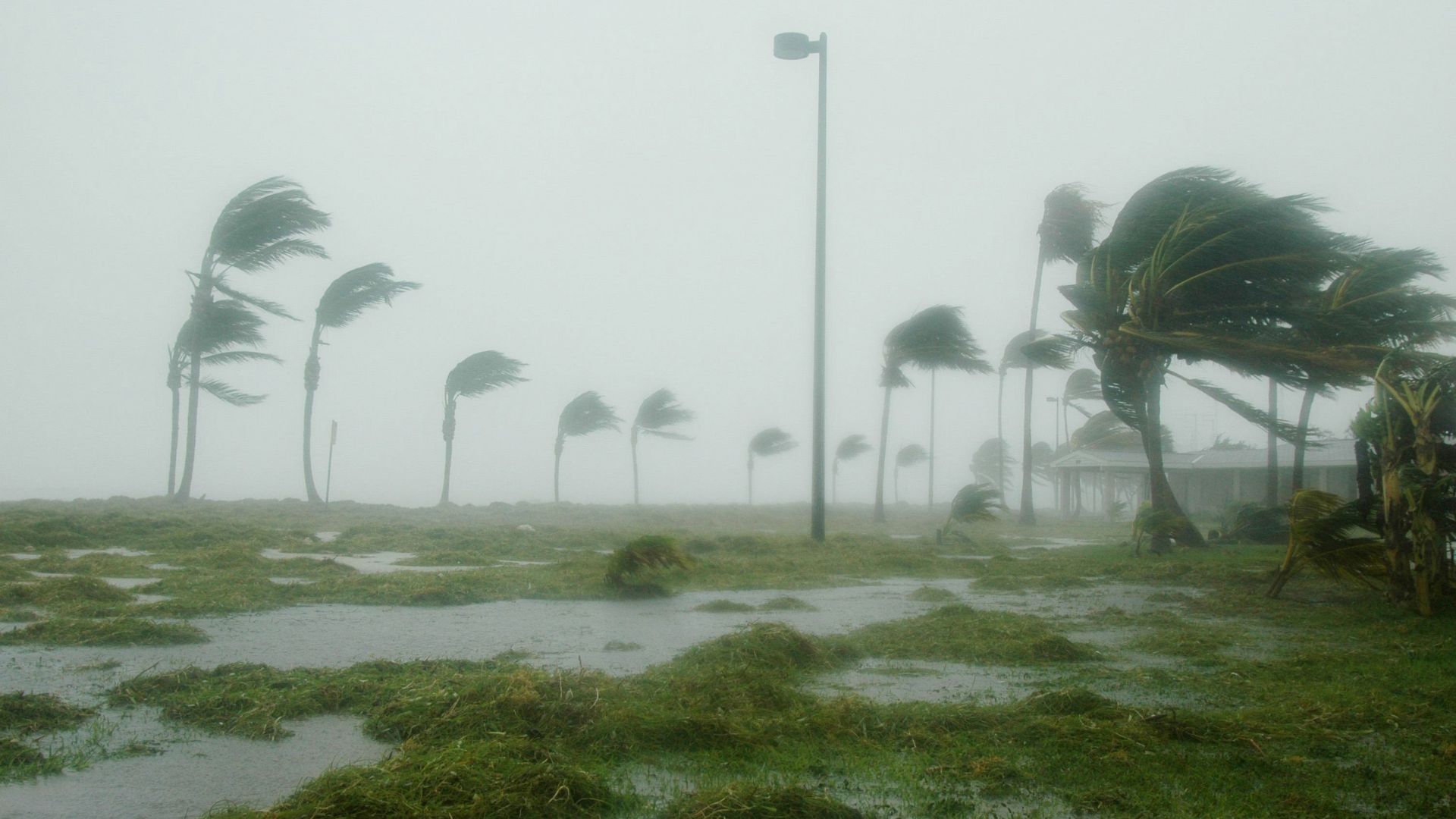 Strong winds