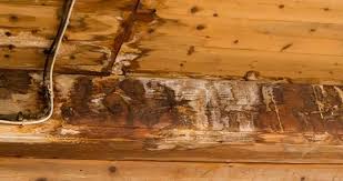 water damage on floor joists