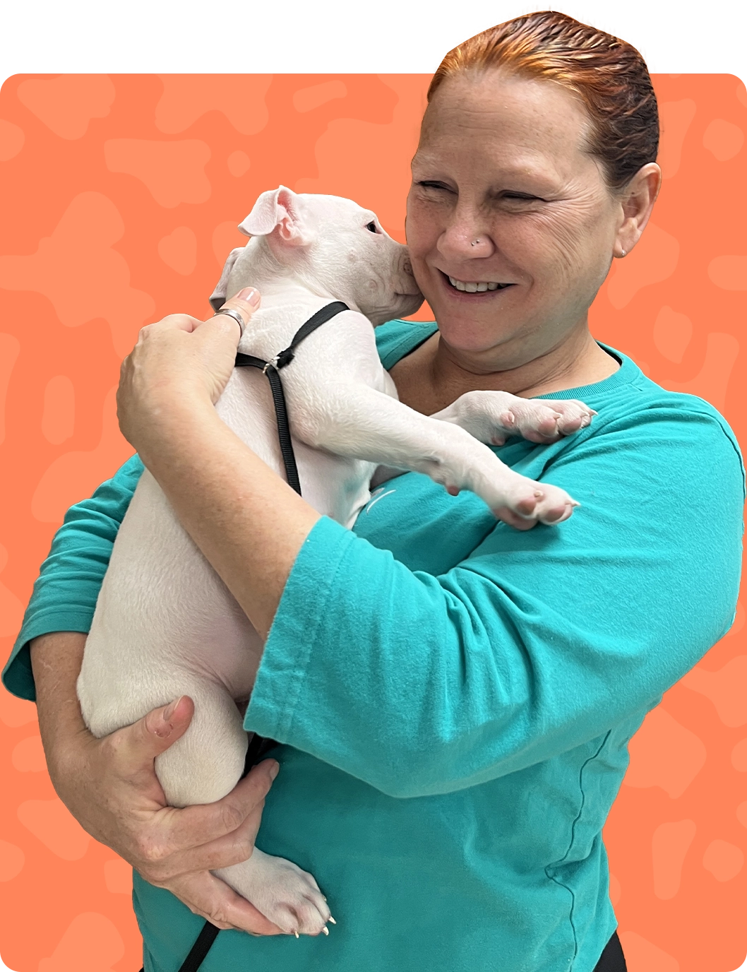 Jennifer Pallanich, CPDT-KSA, owns Pawsome Pet Pal. She writes content that empowers you to build an extraordinary bond with your furry companion. 