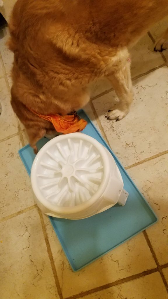 LgWhiteRidged-Kibble-Houdini LgWhiteRidged-Kibble-Houdini