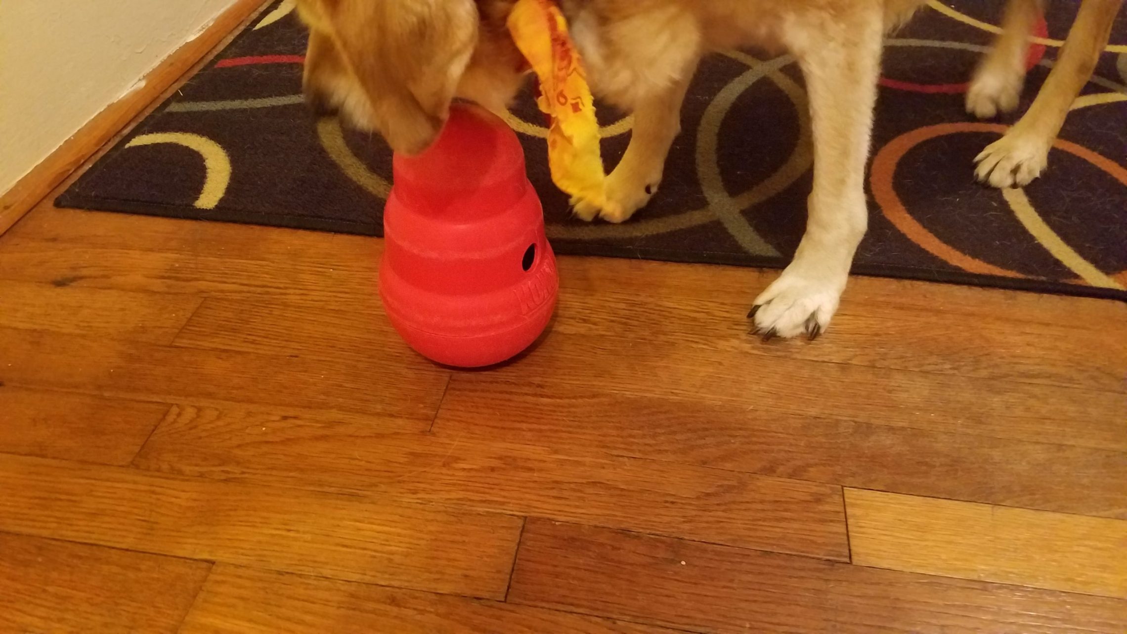 Kong Wobbler Kong Wobbler