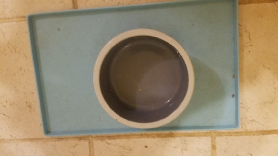 plain bowl plain bowl